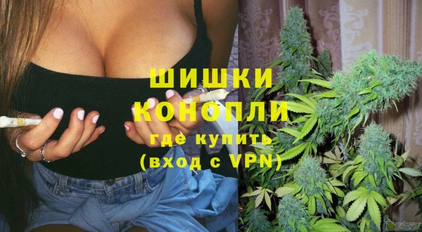 соль ск Бородино