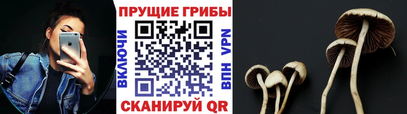 купить  сайты  Крым  Галлюциногенные грибы Psilocybine cubensis 
